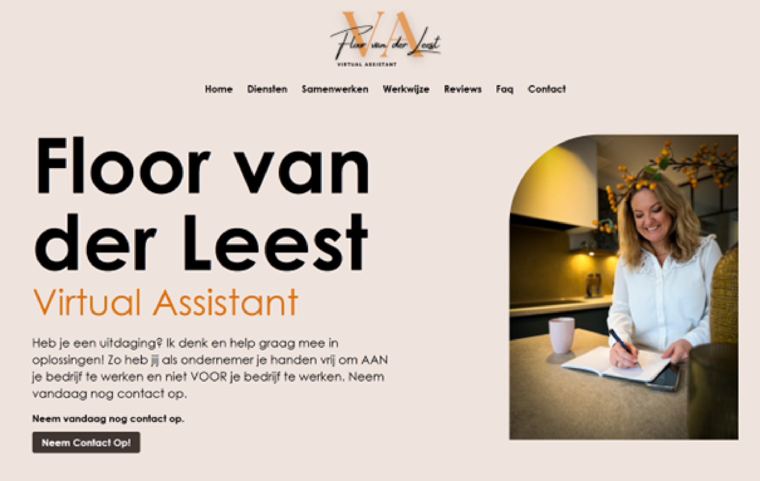 Virtual Assistant Website Preview